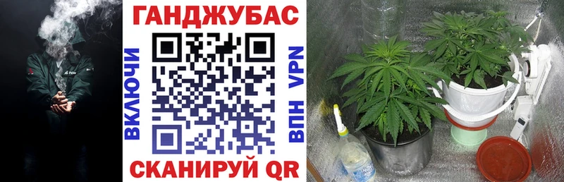Каннабис гибрид Мамоново